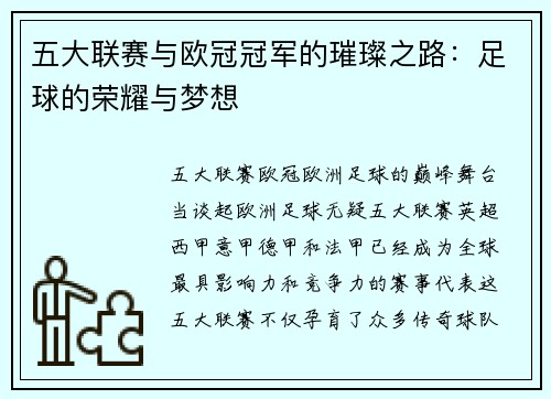 五大联赛与欧冠冠军的璀璨之路：足球的荣耀与梦想